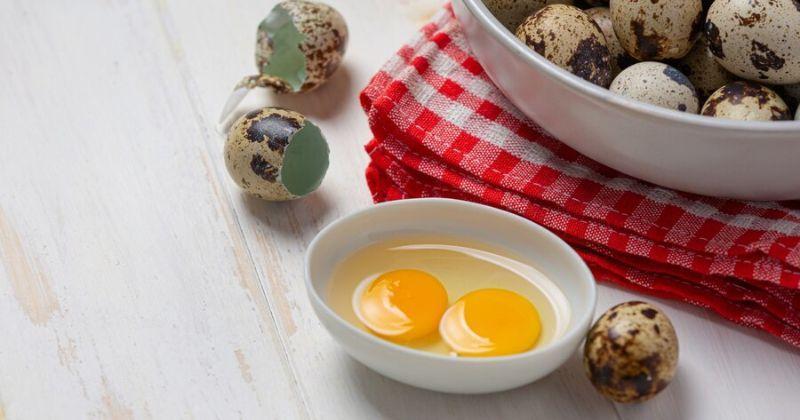 8 Resep Olahan Telur Puyuh untuk MPASI, Enak dan Kaya Nutrisi
